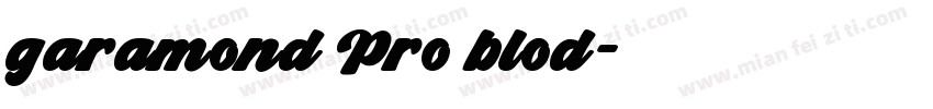 garamond Pro blod字体转换